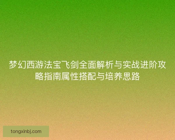 梦幻西游法宝飞剑全面解析与实战进阶攻略指南属性搭配与培养思路